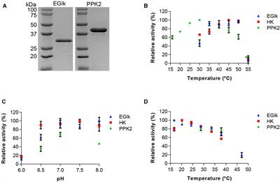 Production of Glucose 6-Phosphate From a Cellulosic Feedstock in a One Pot Multi-Enzyme Synthesis